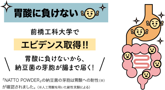 胃酸に負けない！ 前橋工科大学でエビデンス取得！！ 胃酸に負けないから、納豆菌の芽胞が腸まで届く！